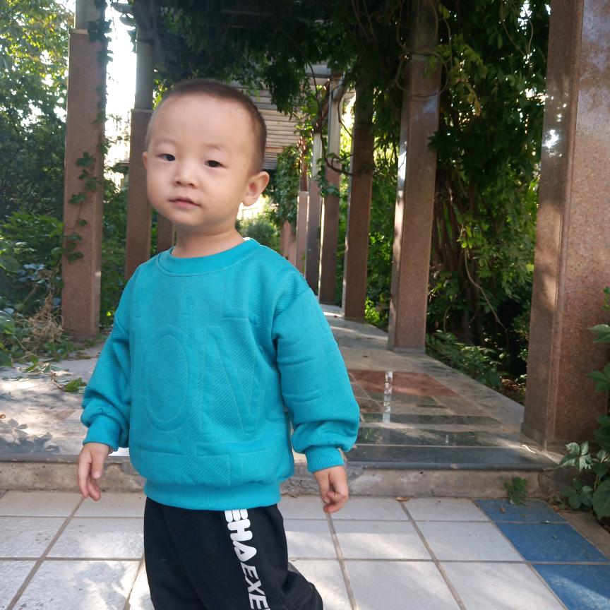 风不懂雨的深情