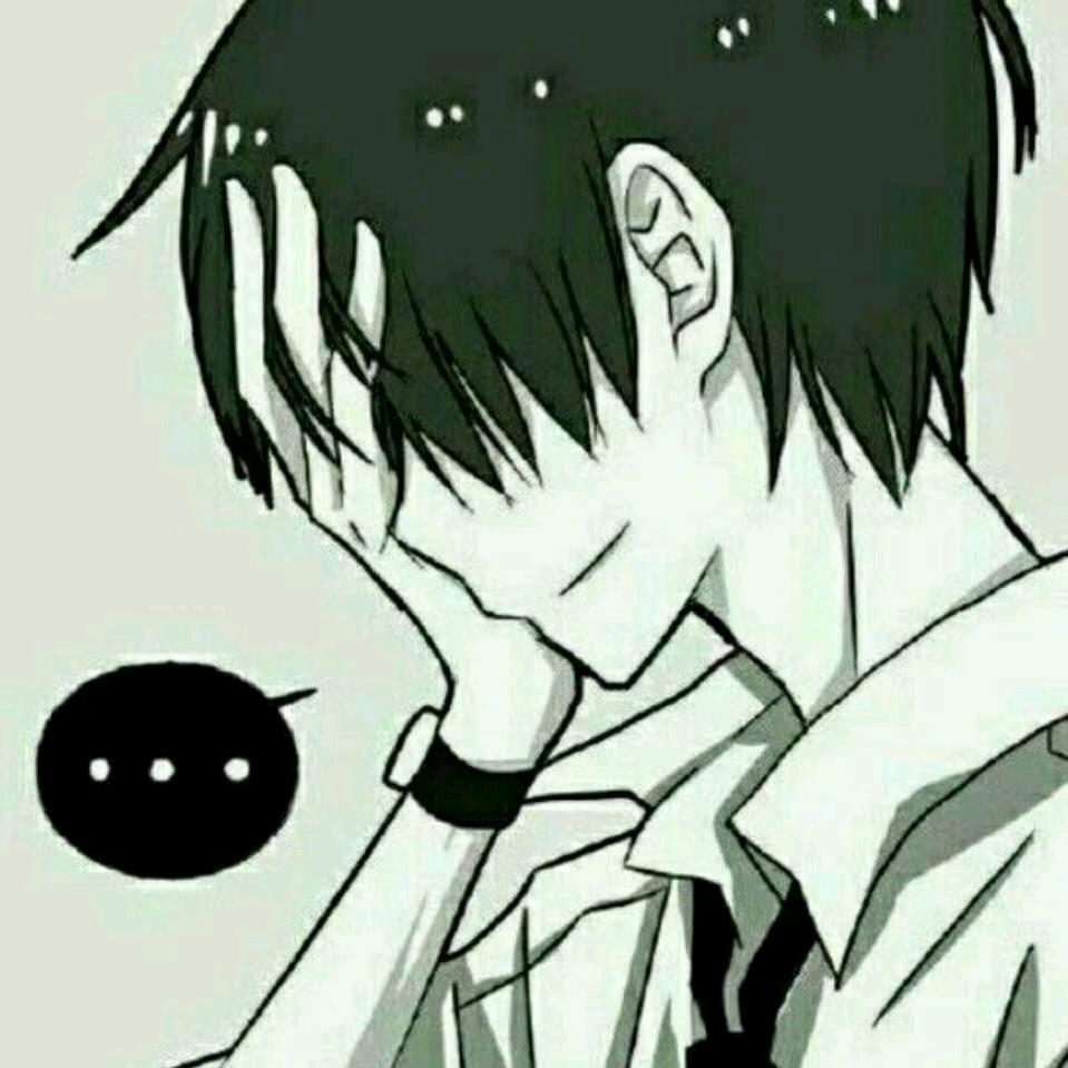 夜猫咪（喵）