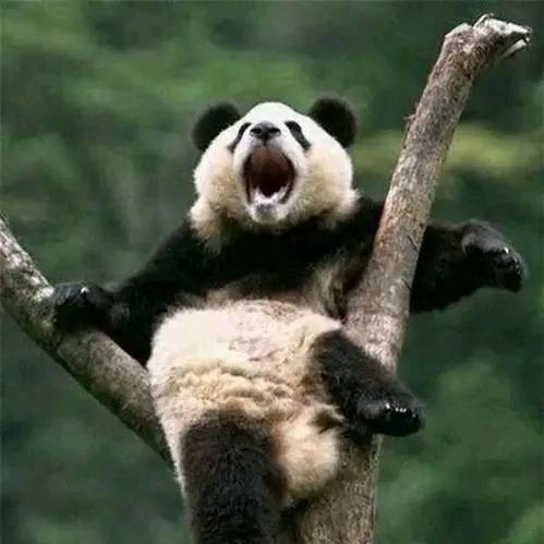 啊哈😄～头像