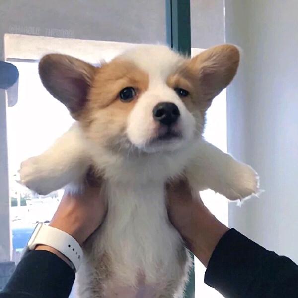 小宇不错哦