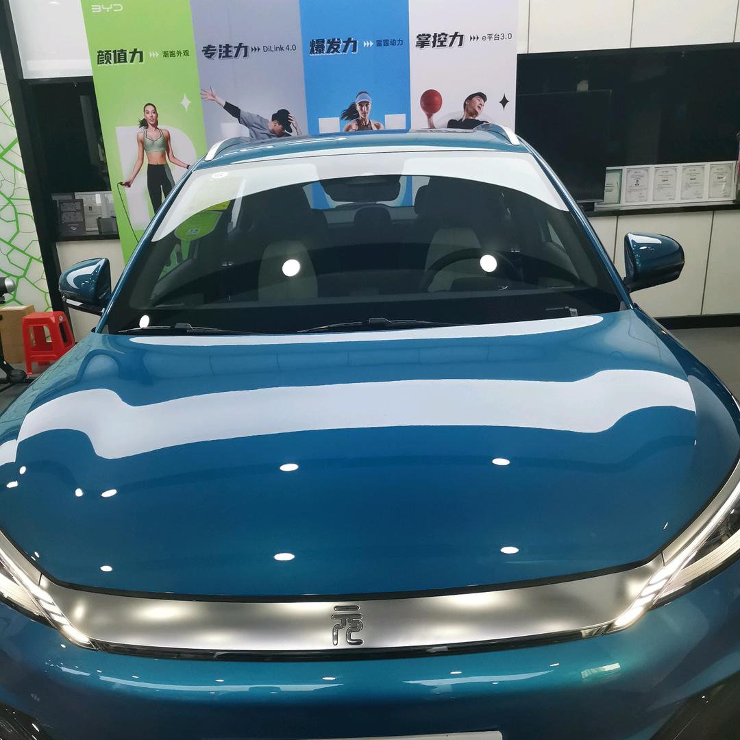我家的金鱼