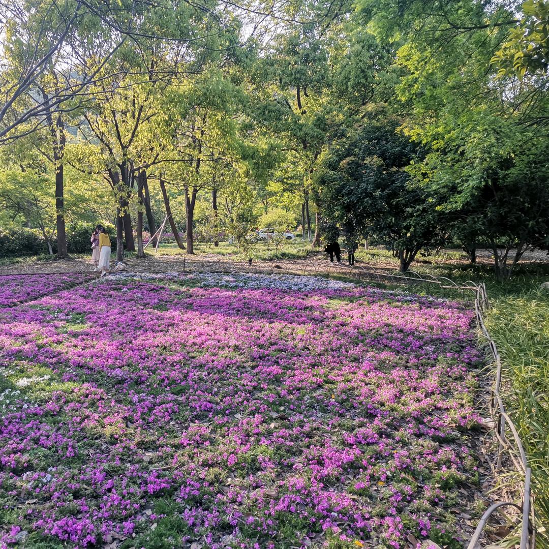 奥利奥的快乐生活