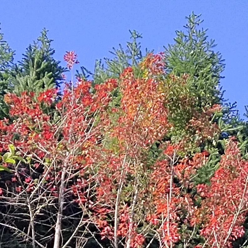 （何时休）……