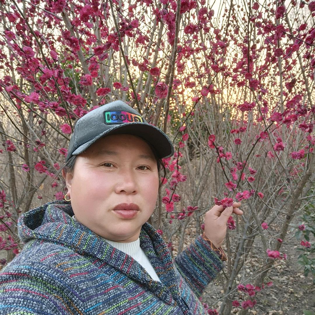 楠,畅的开心奶奶