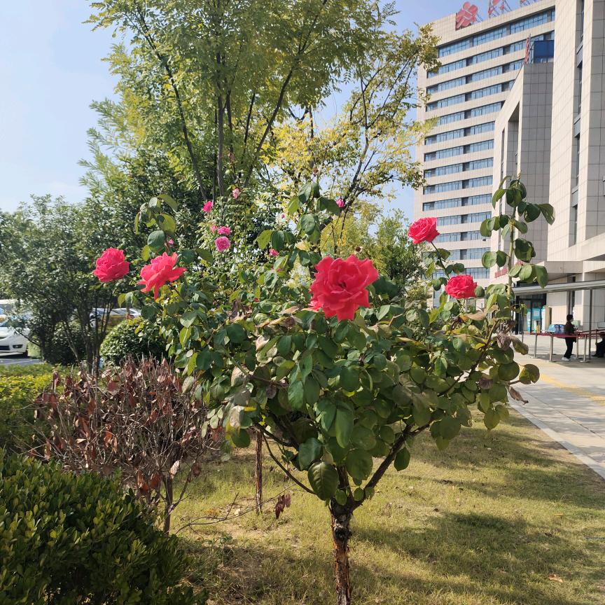 山清水秀好风光