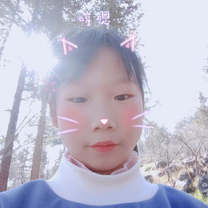 杨飞