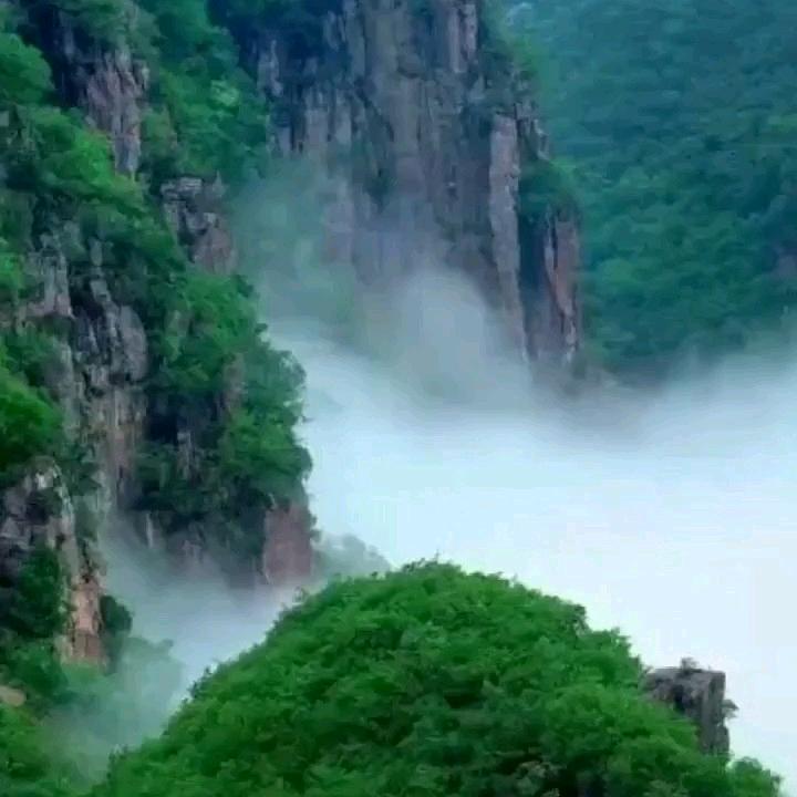 奔向阳光