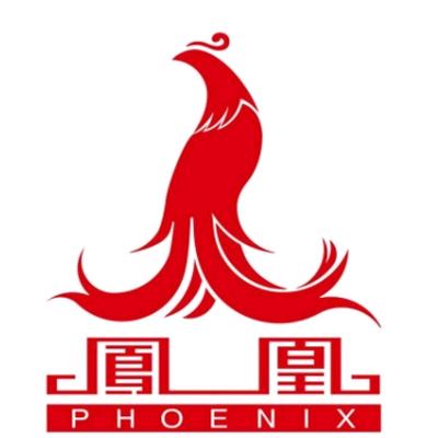 凤凰儿童自行车严选