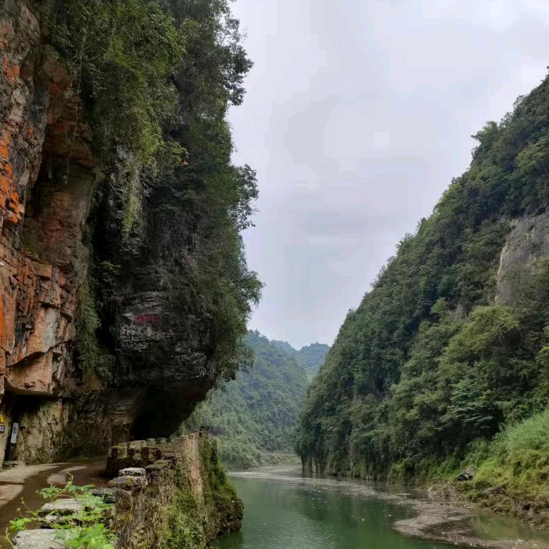 维维✘……逗釢