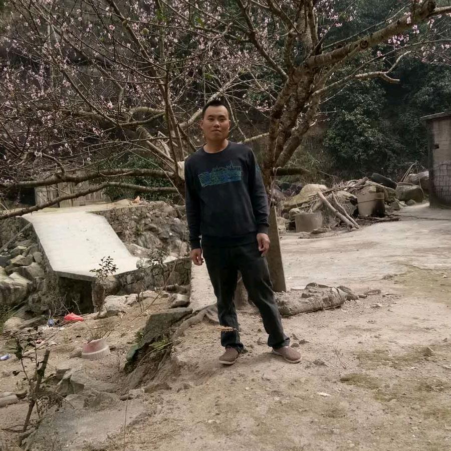 辉辉
