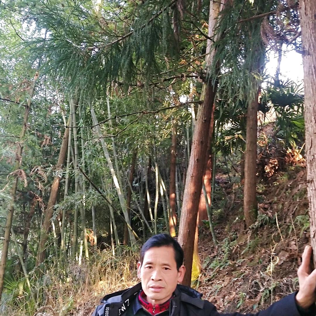坚持到底🌱