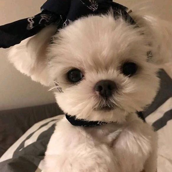 百事都可爱💗