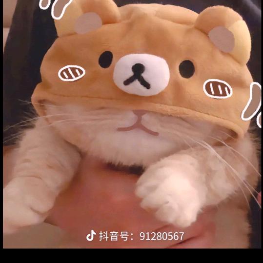 努力中