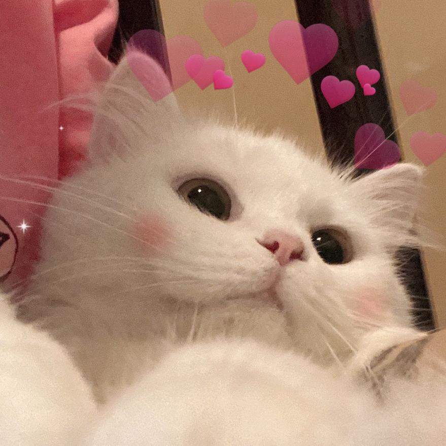 小仙女儿🧚🏻‍♀️