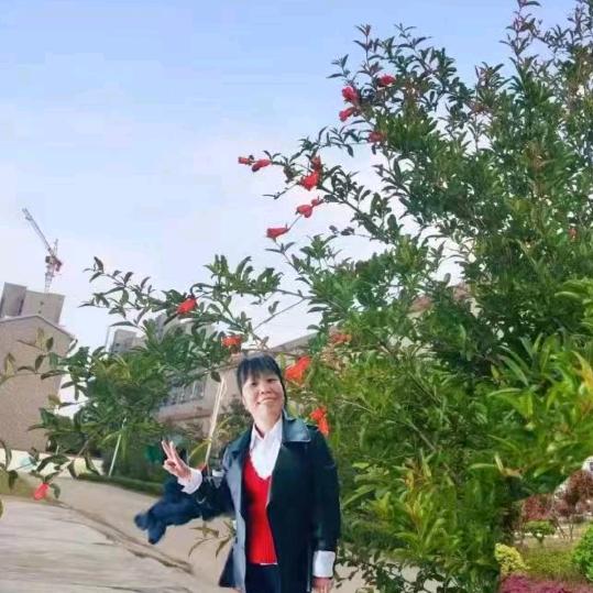 CHuN，HuA春