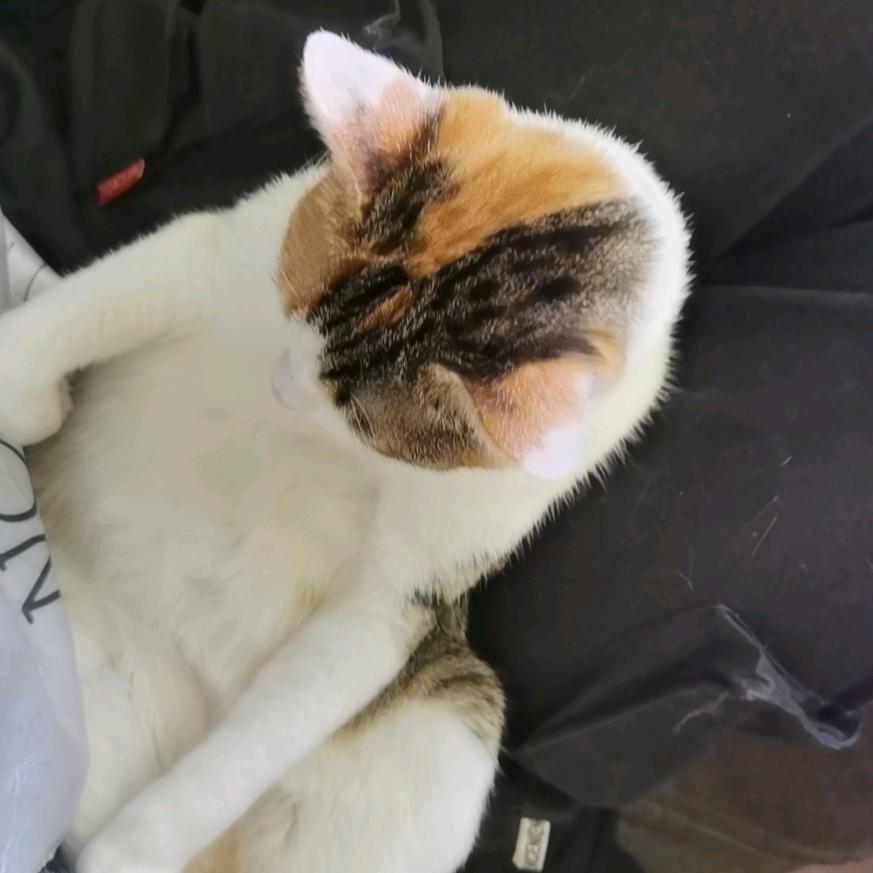 YuuDan（黑子的篮球）