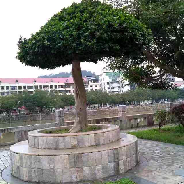 福田