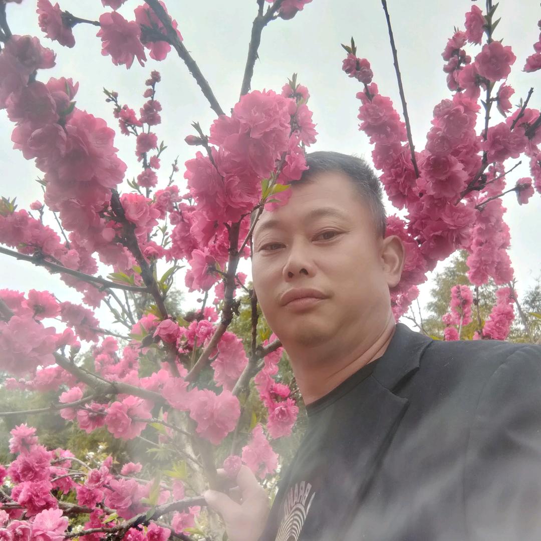 无悔人生