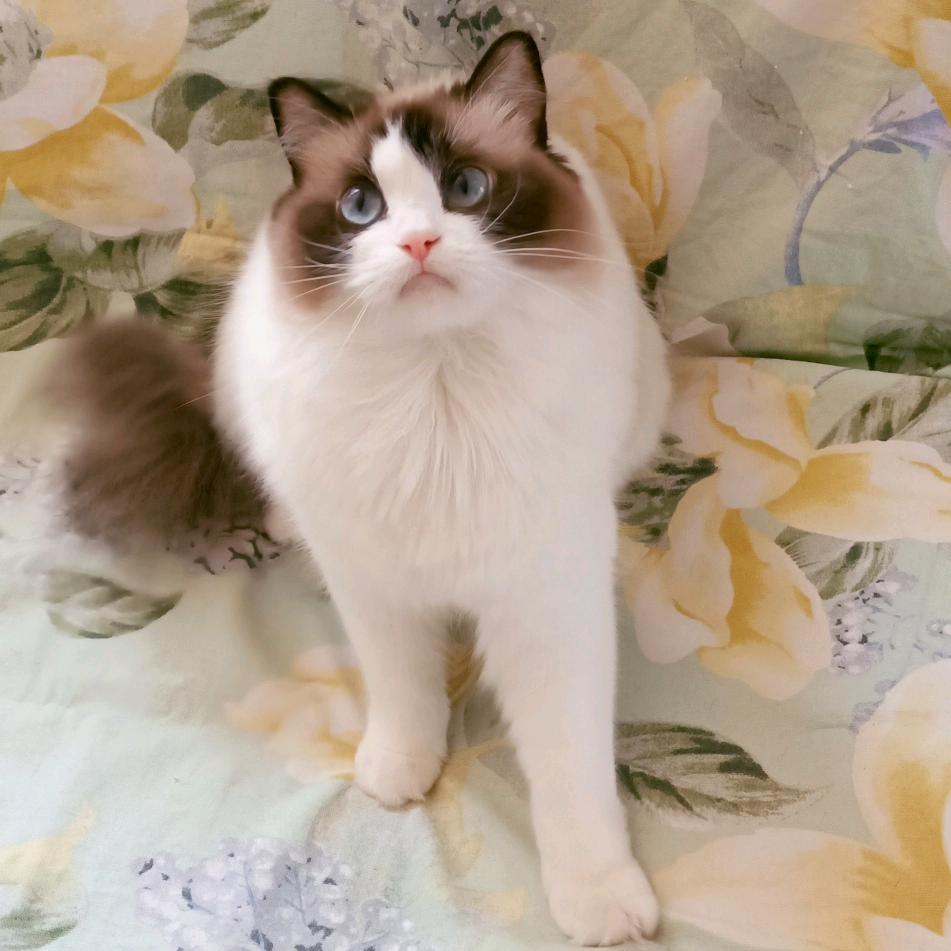 小师娘车旅生活