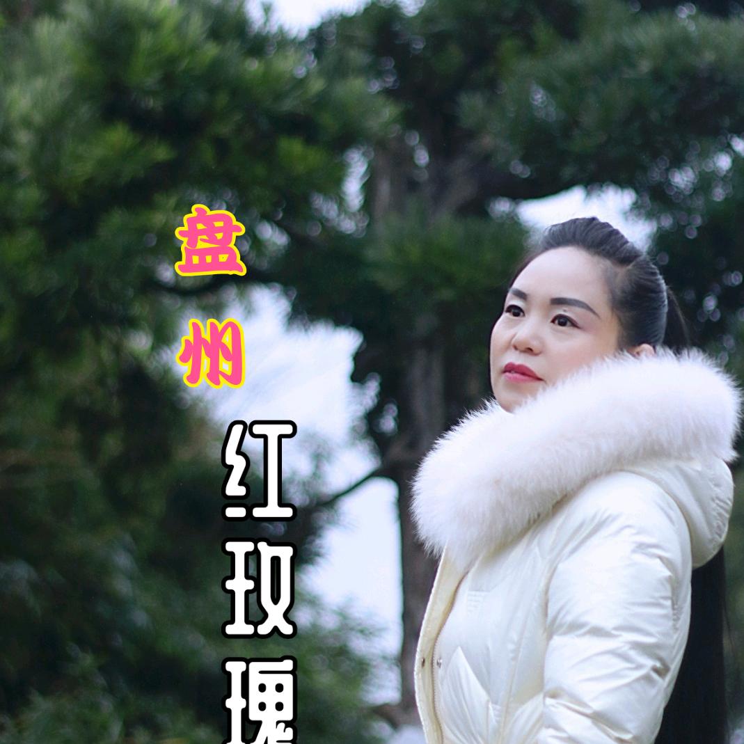 单身玫瑰