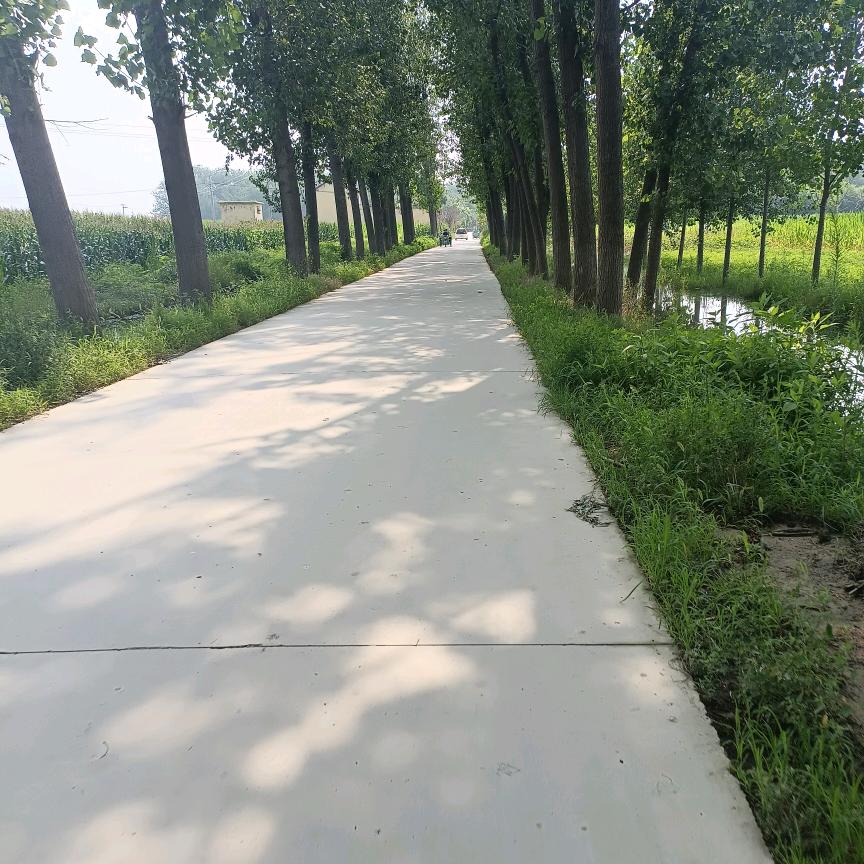 💪明天会更好💪