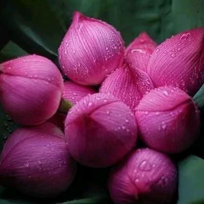 简单而快乐