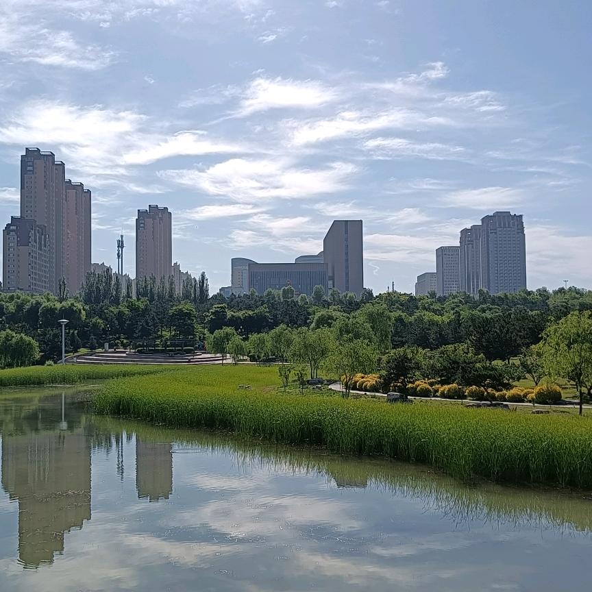 杰尼
