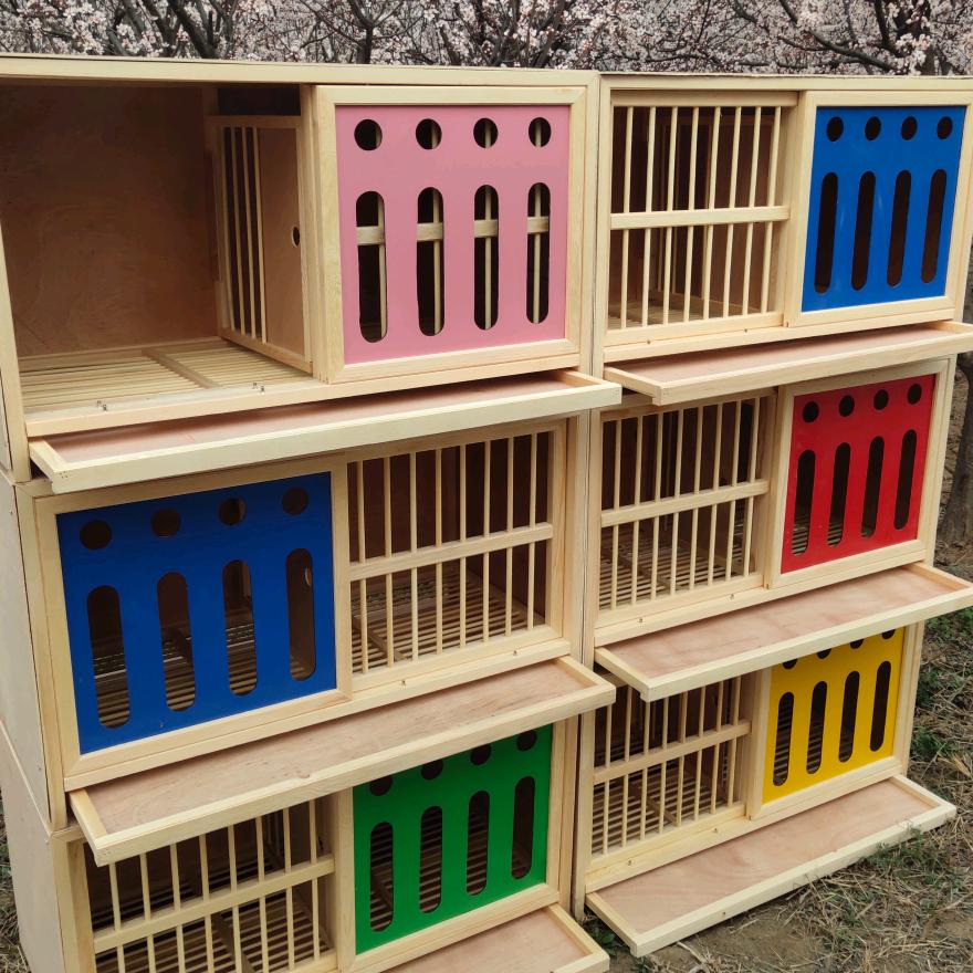 杜哥鸽具