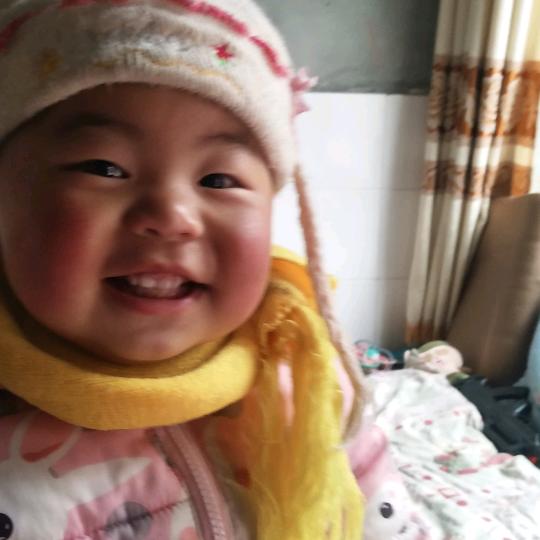 杉