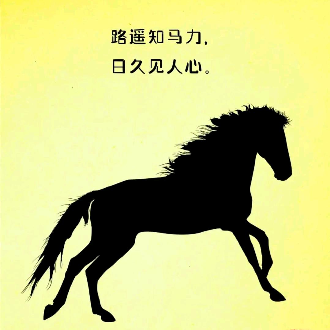 DZ🐯头