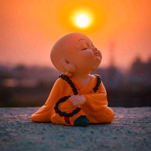 与光同尘