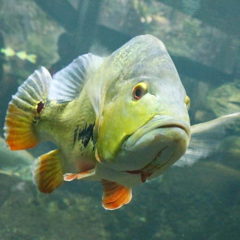 ≈≈○◌◦豫墨的鱼◦◌○≈≈