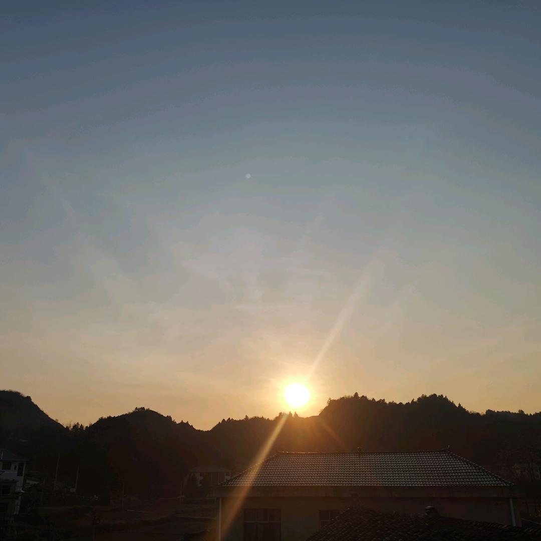 装修小向
