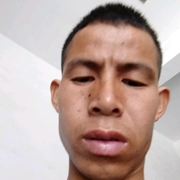 16978279