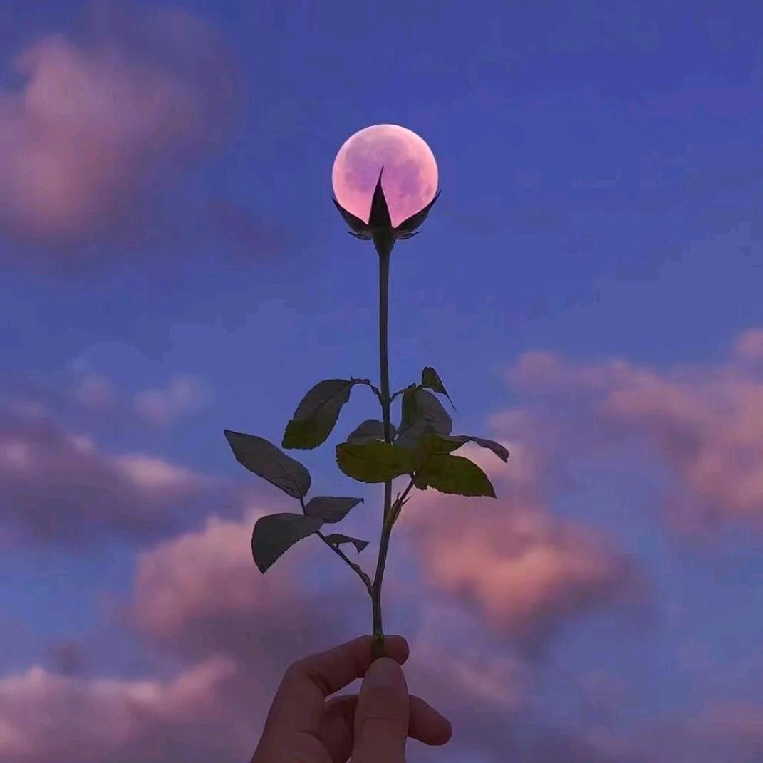 归(⑉°з°)-♡期。