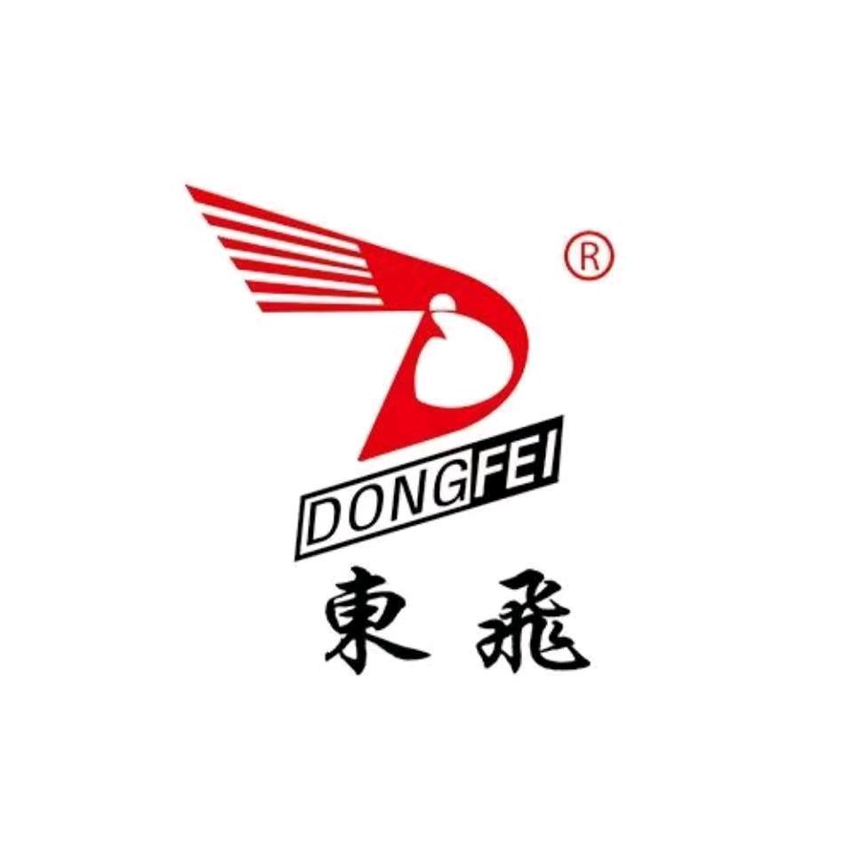 dongfei2020