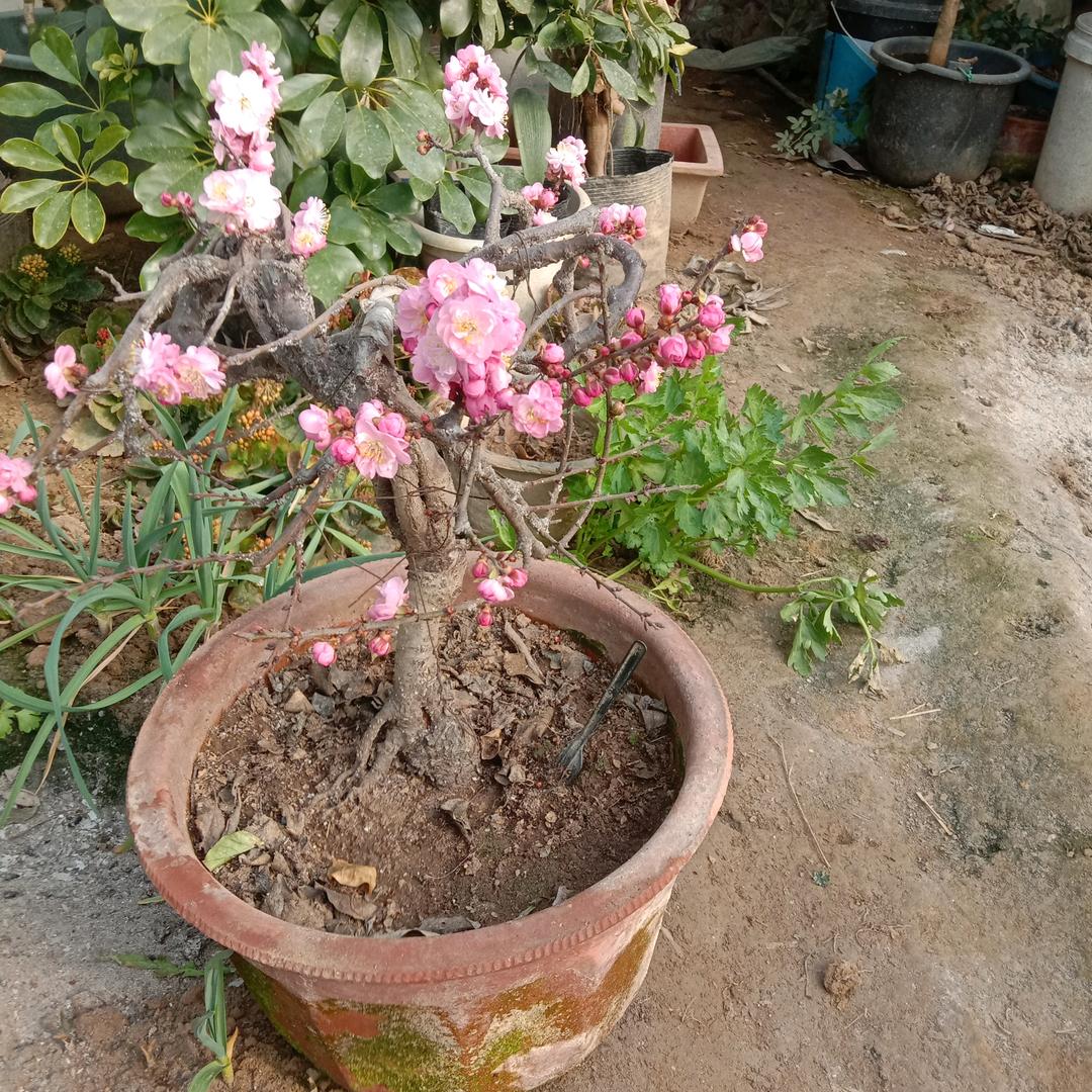 最棒