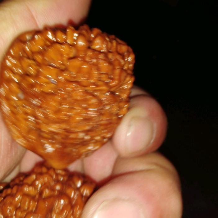 白马王爷“小号”