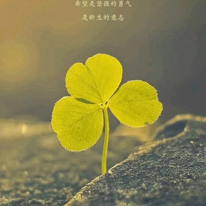 顺其自然1601253740545