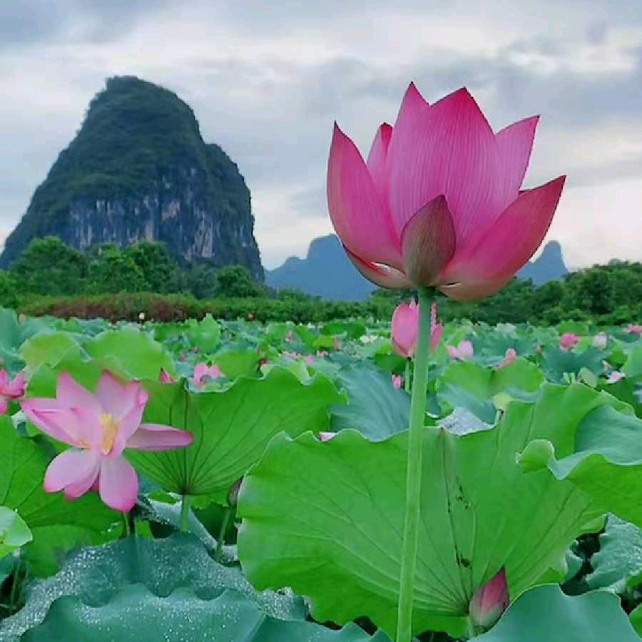 😊冬日暖阳🙂