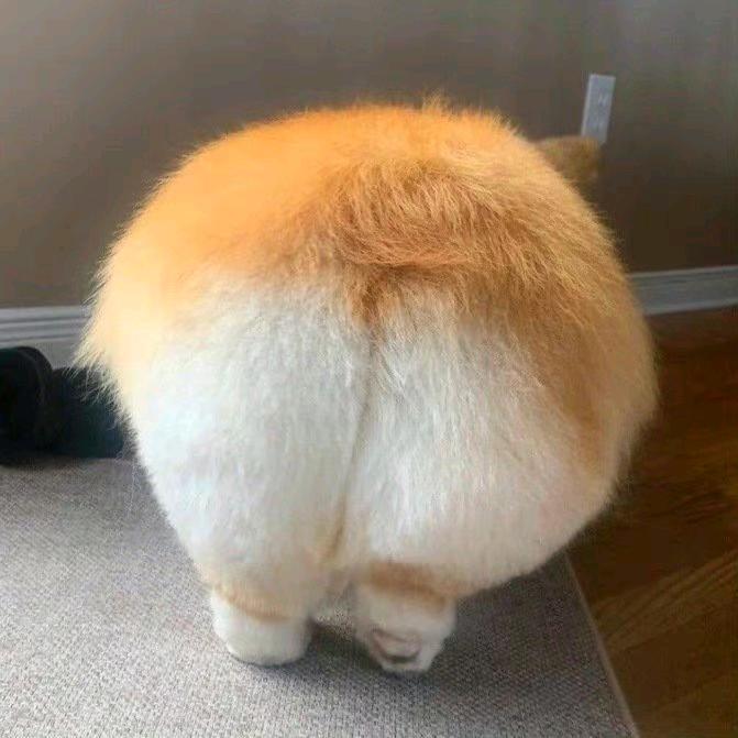 苹果果冻