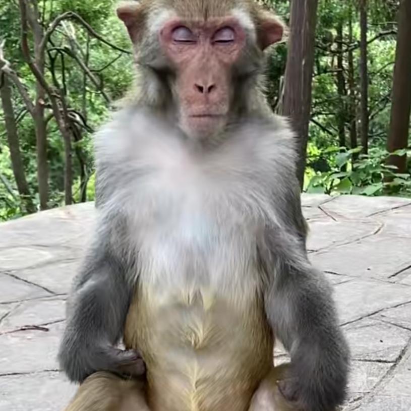 招纺纱工。前纺，细沙。后纺