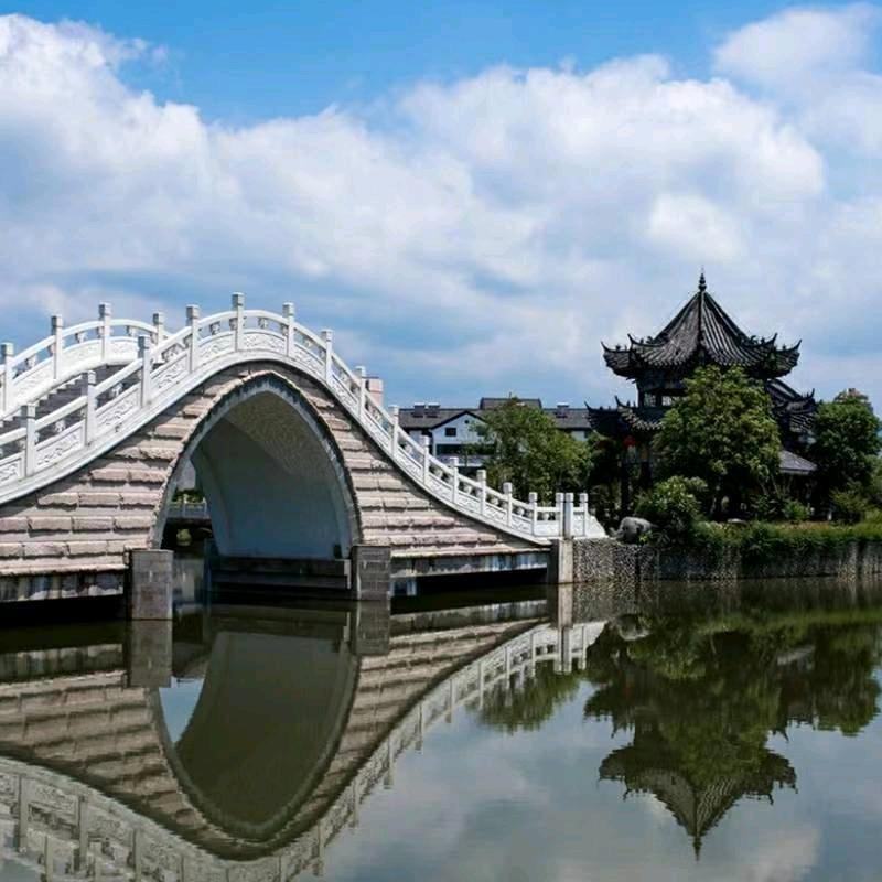 忠锅有点忙