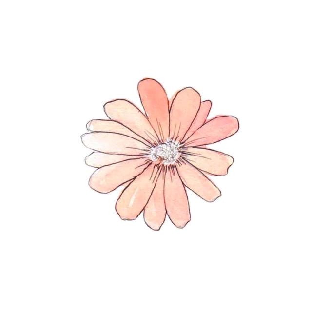 小刺猬啃萝卜