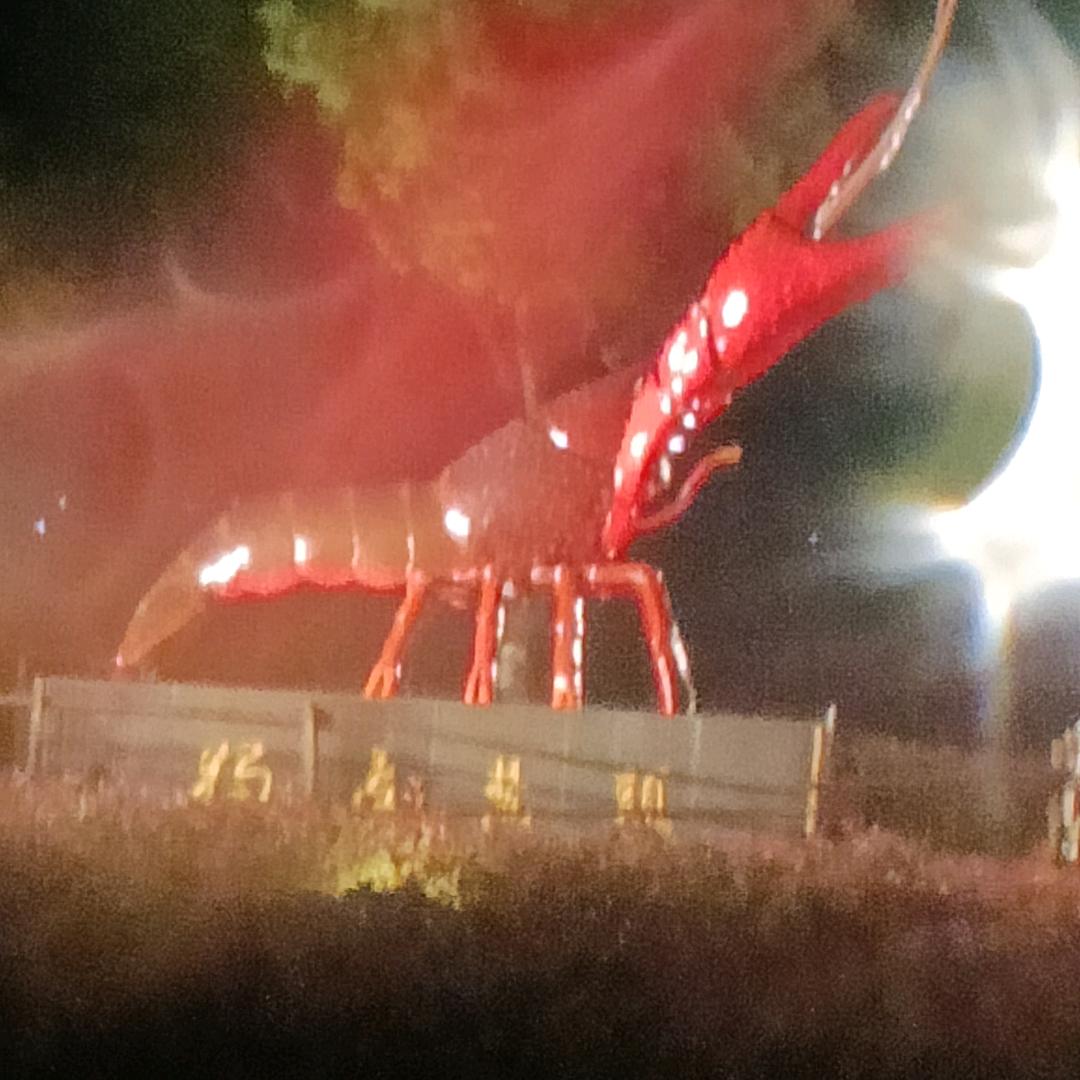 江苏兴化市戚家村杨春风