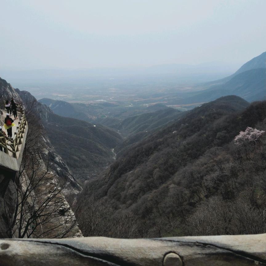 🐕¹⁹₉₄闫℘࿐