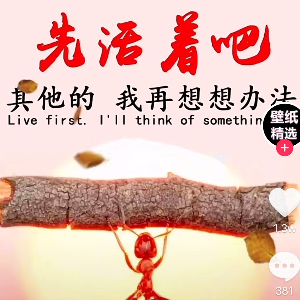 用户开开心心每一天