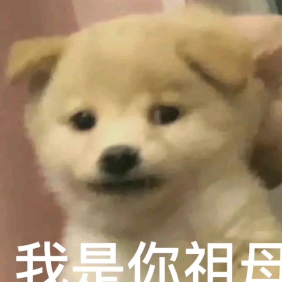 御手洗洁丶
