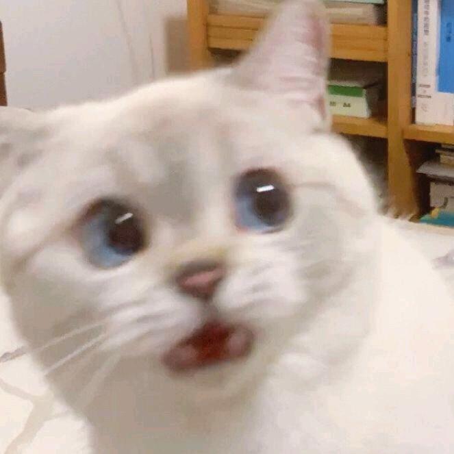 小花呀