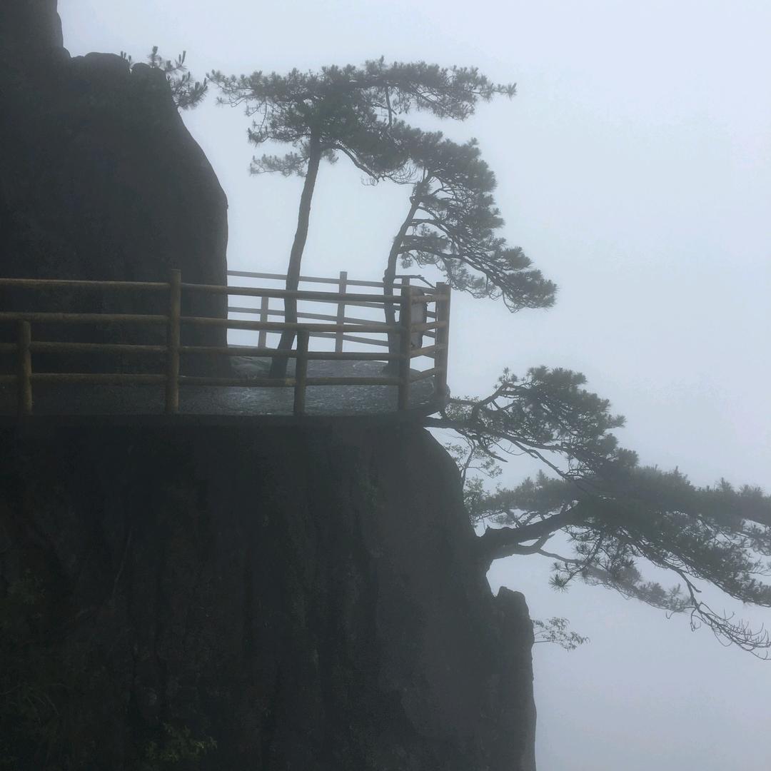 飘动的雨滴